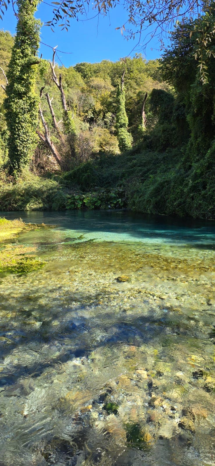 Přeprava motorek Saranda — fotka 13